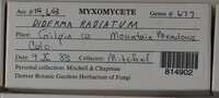 Image Associated With the Occurence